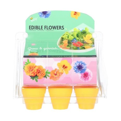 eetbare bloemen tuintje