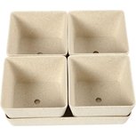 DIY Kruidenpotjes + gratis kruidenzaden