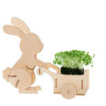 Paashaas met karretje | DIY tuinkers Paashaas met karretje | DIY tuinkers